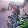 sarp41
