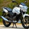 COMPACT5555