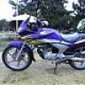 selo_42