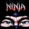 thelastninja