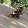 BeaTMan