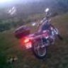 sariyarLi_06