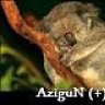 aziqun