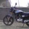 golge20