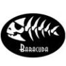baracuda2