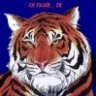 TIGER2009
