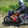 jackass239