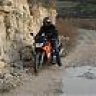 xardias
