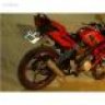 ferdi_race