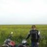 emanet