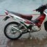 alfonso55