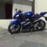 alper m