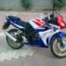 cbr125rr