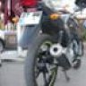 sarex
