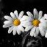 nobly