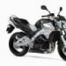 cakmak3306