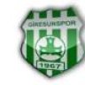 sevdayelleri