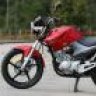 robien81