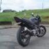 BLACK TIGER