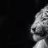 Tige-R