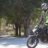 dogan70