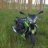 jackall54