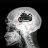 Poenarius-