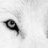 wildwolf