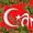 camouflage