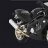 CANER1202