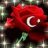 cem.onal