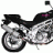 ZEALSUN250CC
