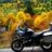 CBF150