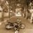 thaii_vtec