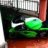 *umut_v6*"