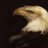 EagleTurk