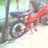 ennes07