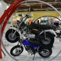 AsyaMotor-Daelim-Standi-2015-Motosiklet-Fuari-007