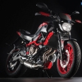 YamahaMT-07-MotoCage-017