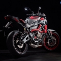 YamahaMT-07-MotoCage-026