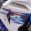 Suzuki-GSX-R1000-SE-LimitedEdition-015