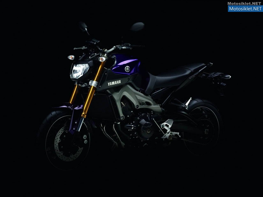 Yamaha-MT-09-2014-019