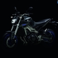 Yamaha-MT-09-2014-002
