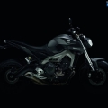Yamaha-MT-09-2014-006