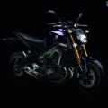 Yamaha-MT-09-2014-010