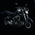 Yamaha-MT-09-2014-012