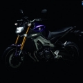 Yamaha-MT-09-2014-019