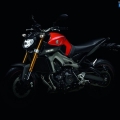 Yamaha-MT-09-2014-021