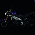 Yamaha-MT-09-2014-028