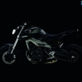 Yamaha-MT-09-2014-038